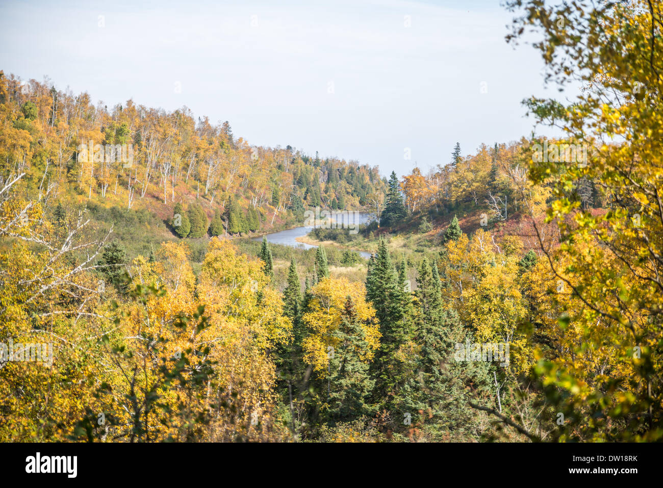 Colori di autunno Foto Stock