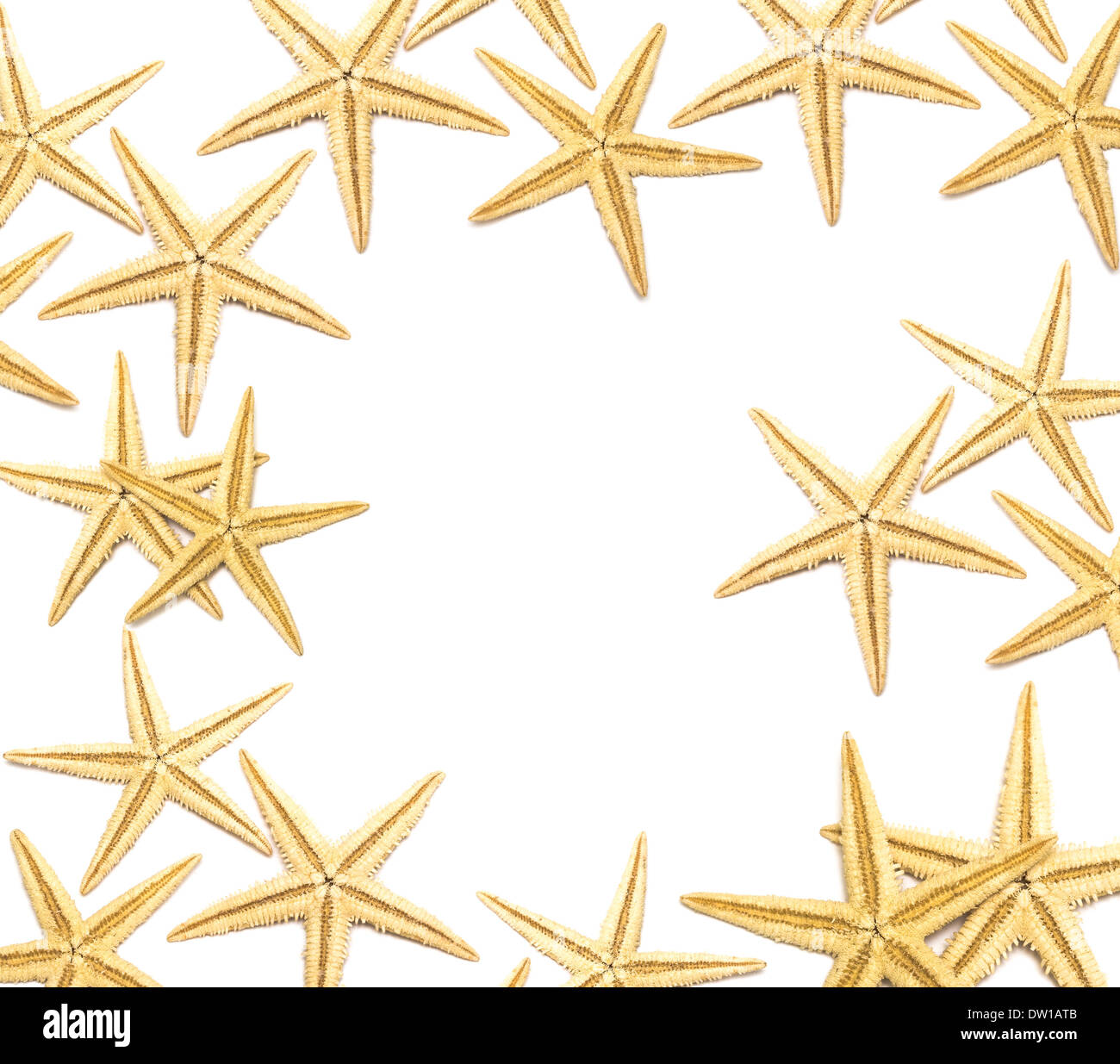 Stelle di mare isolato su sfondo bianco Foto Stock