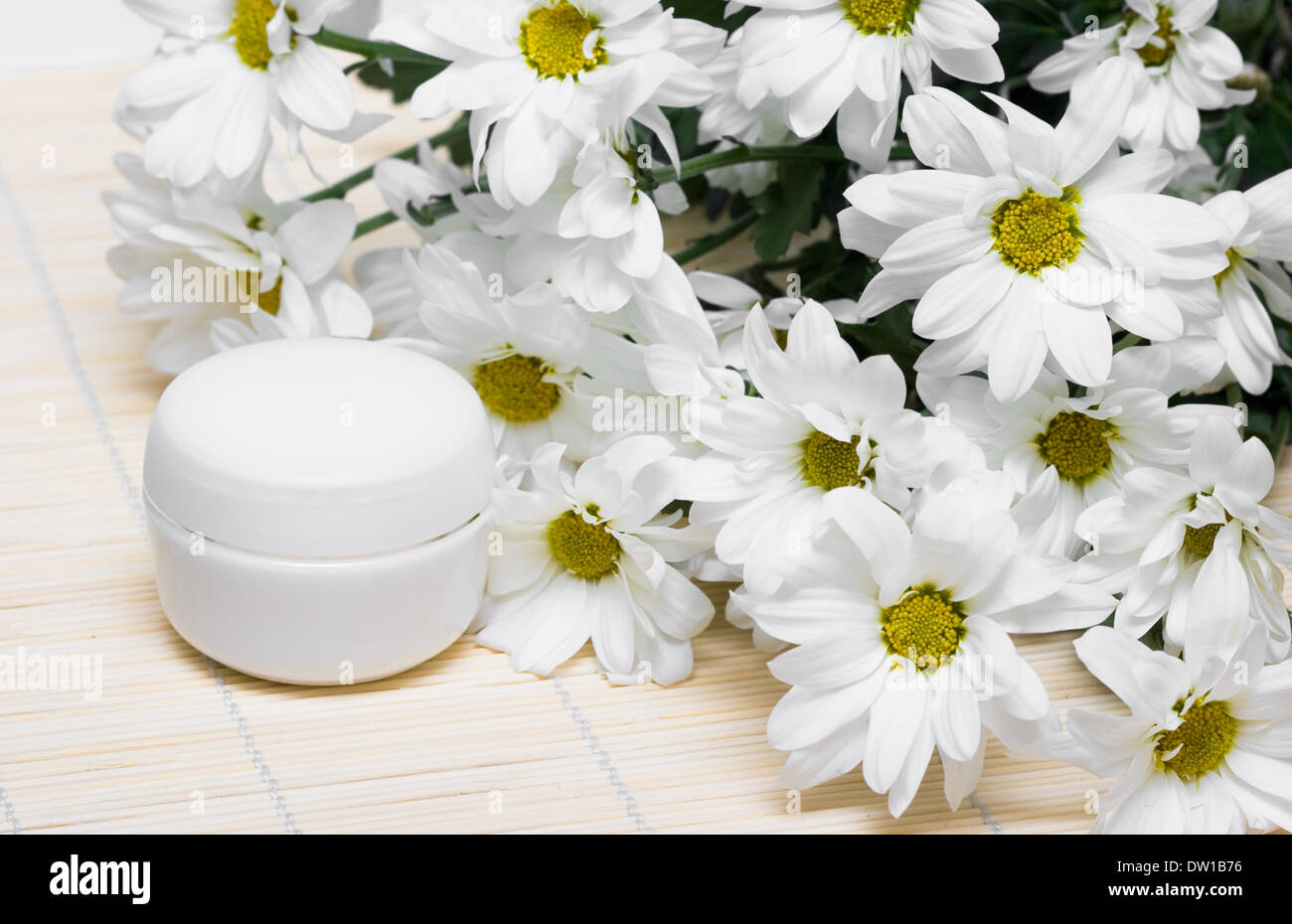Cosmetici crema idratante con chamomiles Foto Stock