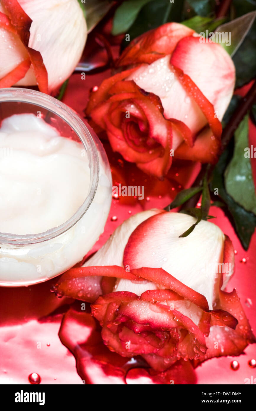 La crema con rose su sfondo rosso Foto Stock