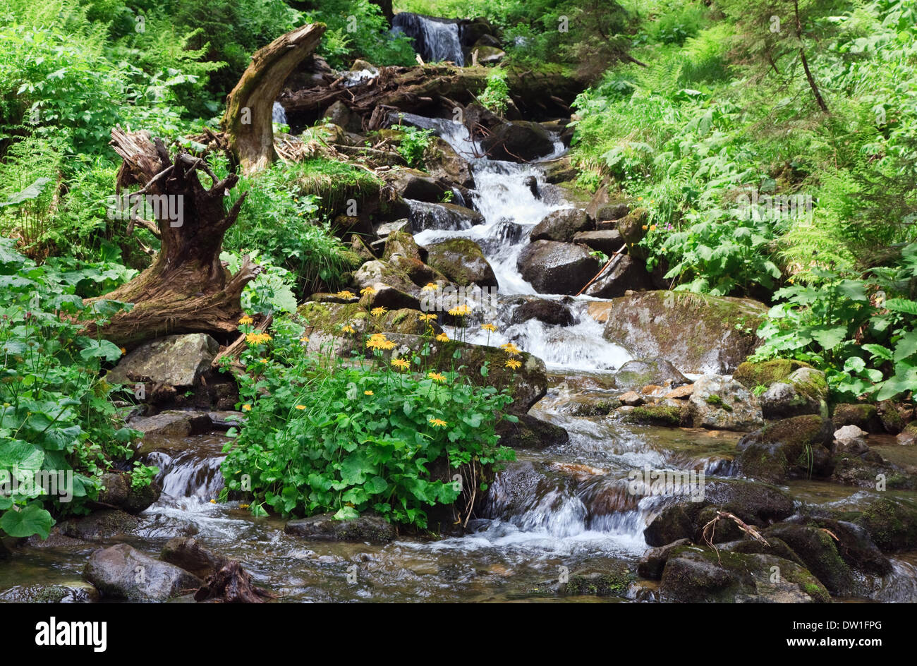 Estate fiume di montagna Foto Stock