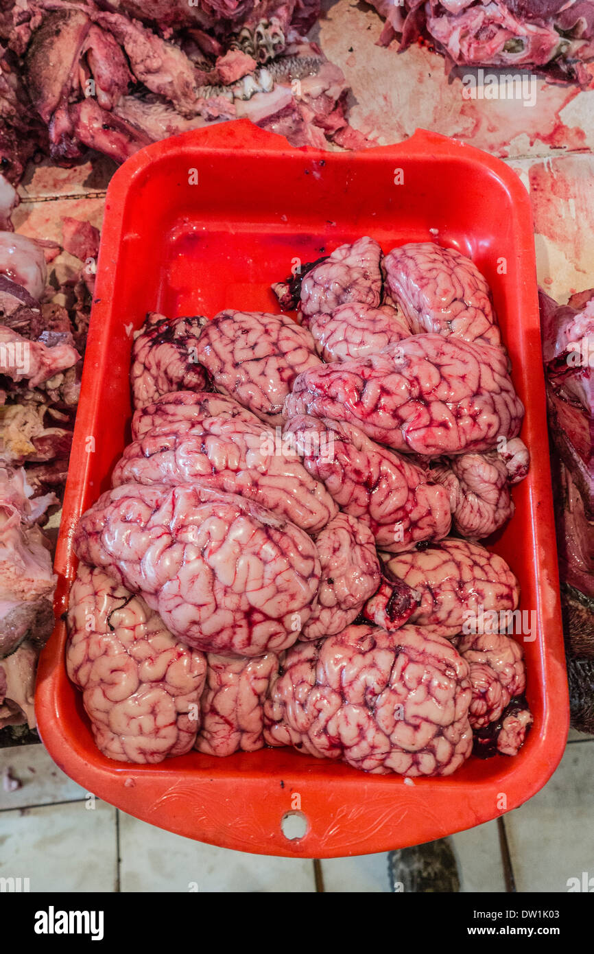 Cervelli di mucca in Vendita in La Cancha mercato nella città di Cochabamba, in Bolivia. Foto Stock