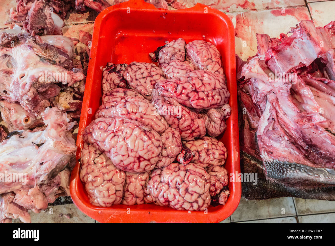 Cervelli di mucca in Vendita in La Cancha mercato nella città di Cochabamba, in Bolivia. Foto Stock