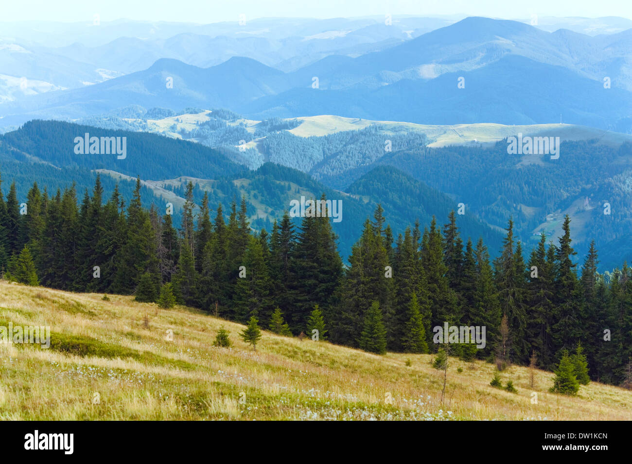 Estate paesaggio di montagna Foto Stock