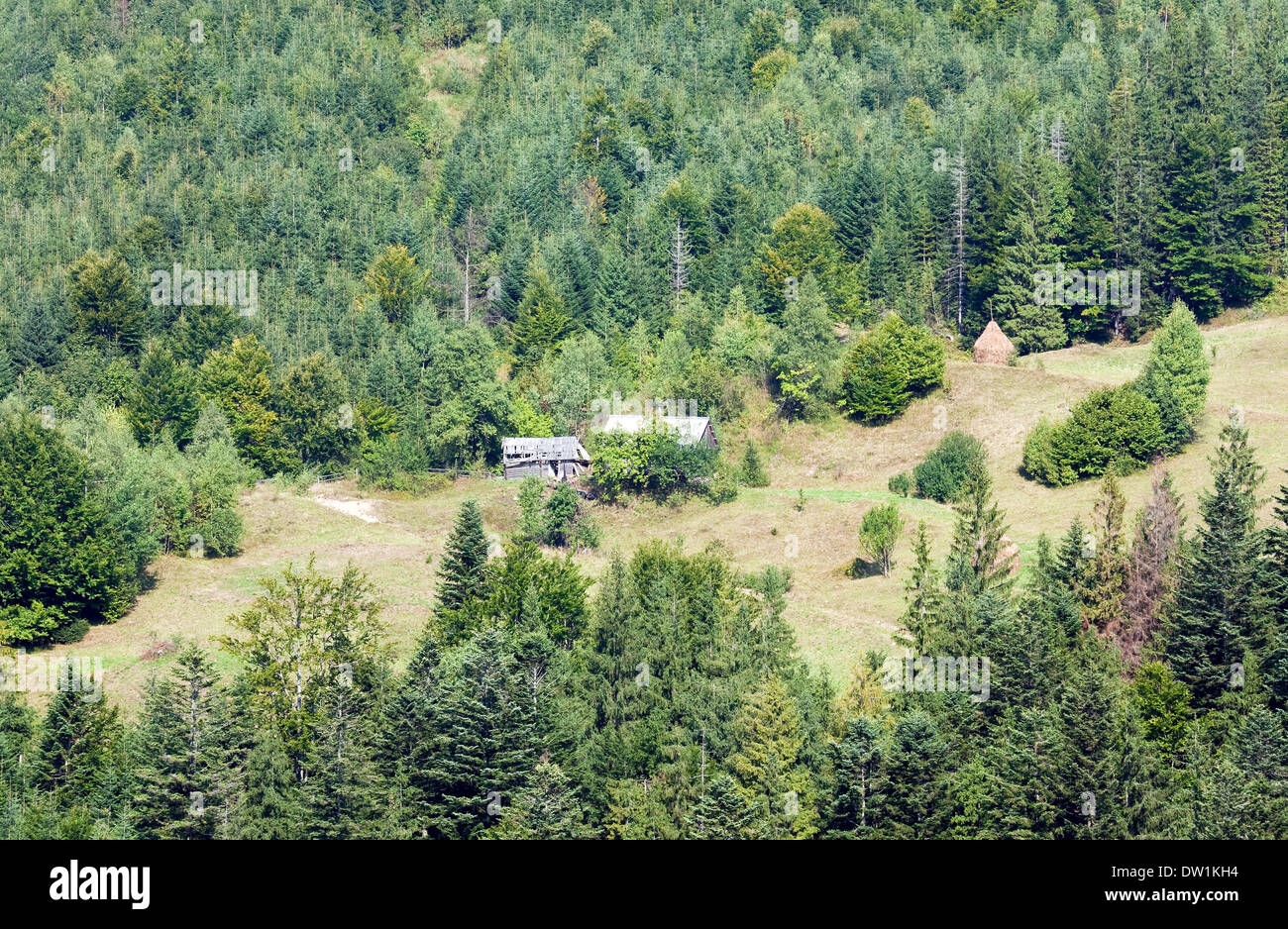 Estate paesaggio di montagna Foto Stock