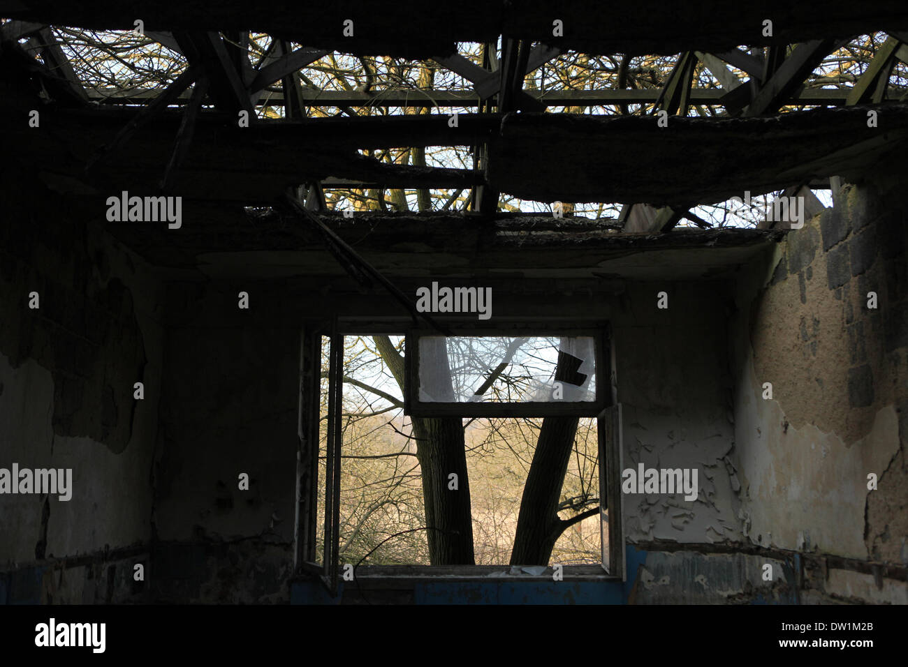 Milovice, Repubblica Ceca. Il 25 febbraio 2014. Un vetro rotto di un abbandono di officina di riparazione per sovietica di velivoli da combattimento MiG nella zona del militare sovietica in base Milovice, situato a circa 40 km da Praga, Repubblica Ceca. Rovine della ex Unione Sovietica base militare in Milovice sono per essere demolita nei prossimi mesi per fare spazio a nuovi edifici. La base è stata abbandonata per più di venti anni, dal momento che le truppe sovietiche a sinistra della Cecoslovacchia nel 1991. Ora il abbandonata base militare sopravvive per ultimi giorni. Foto Stock