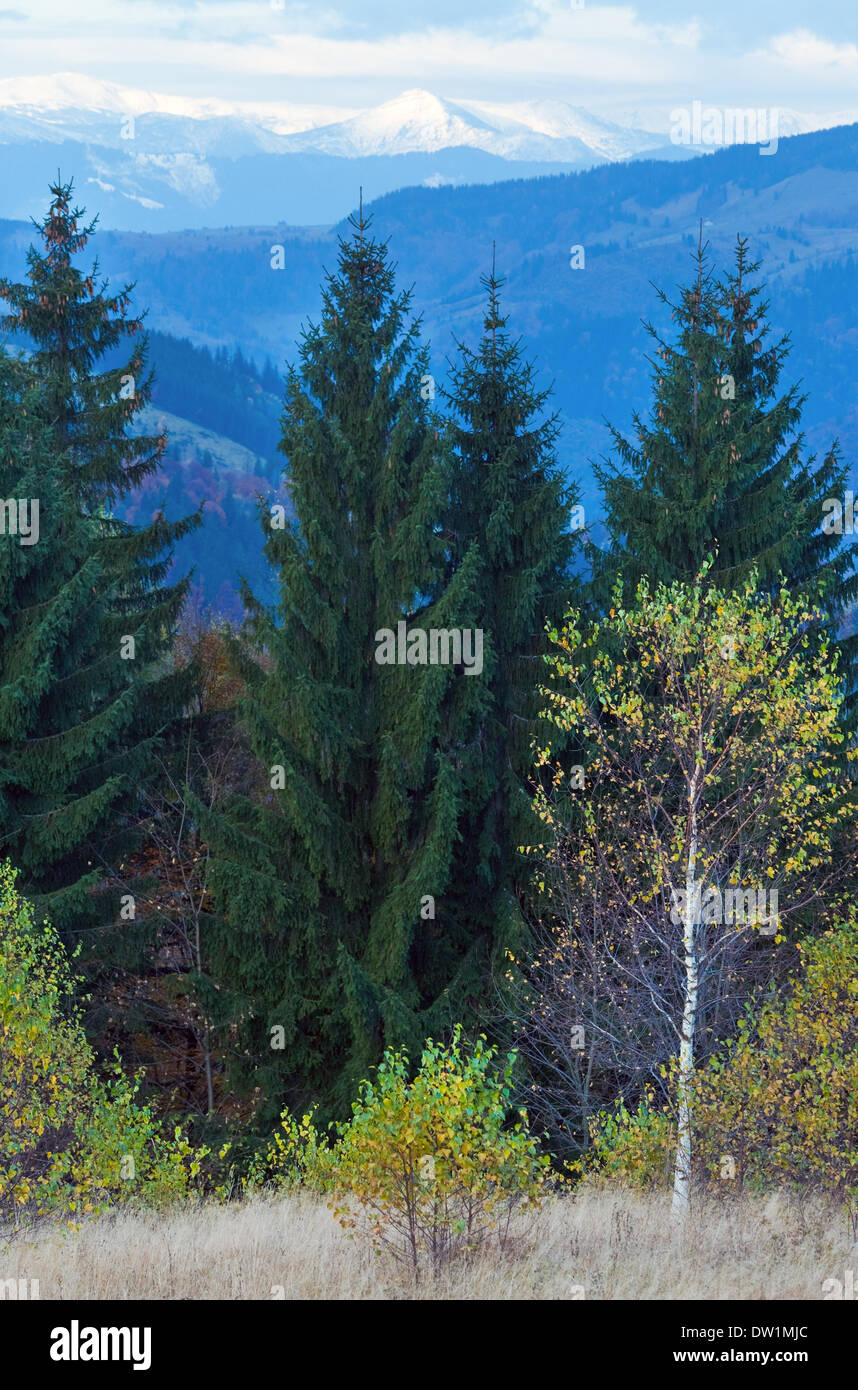 Autunno di foreste di montagna Foto Stock