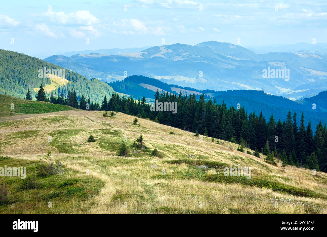 Estate paesaggio di montagna Foto Stock