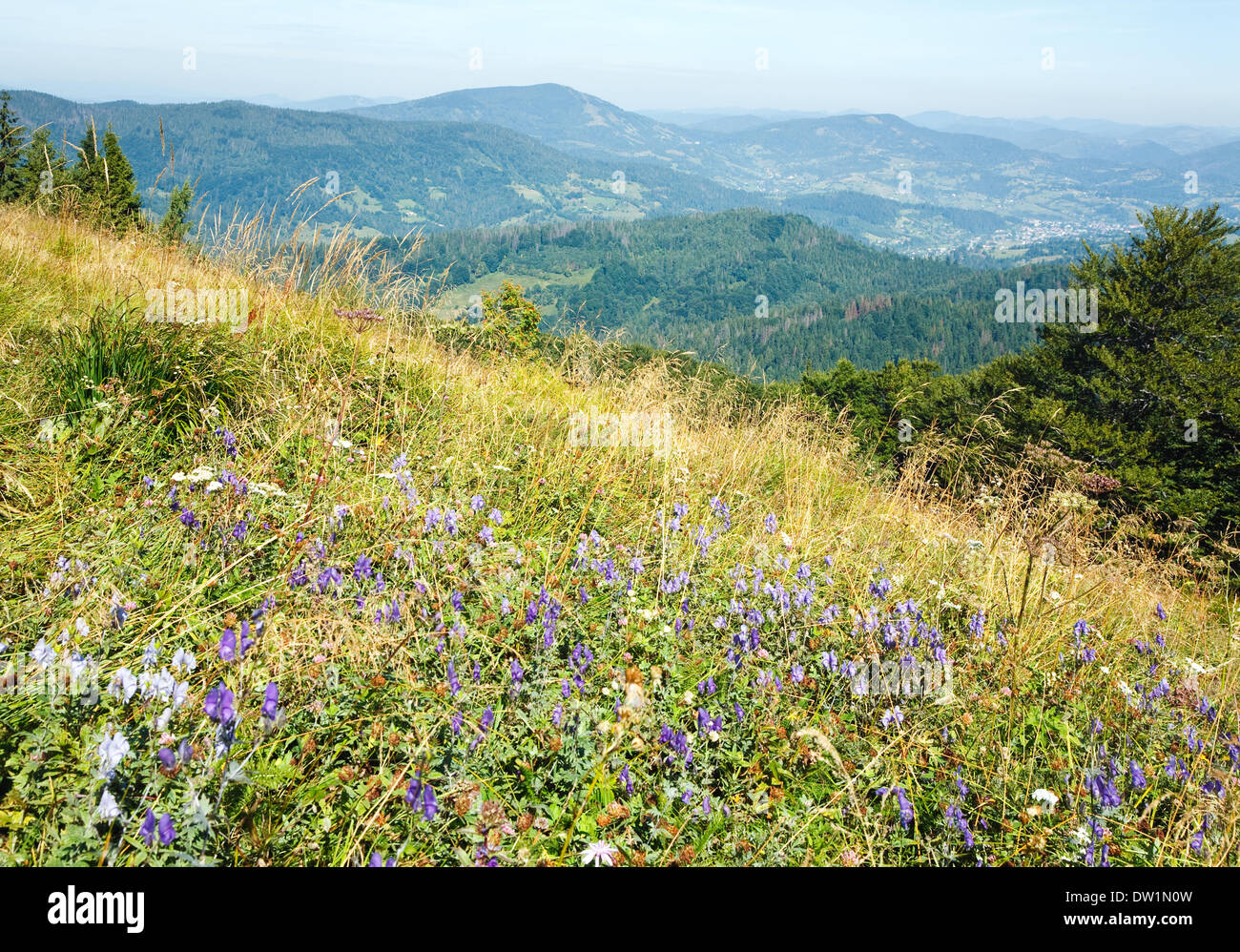 Estate Mountain View con fiori Foto Stock