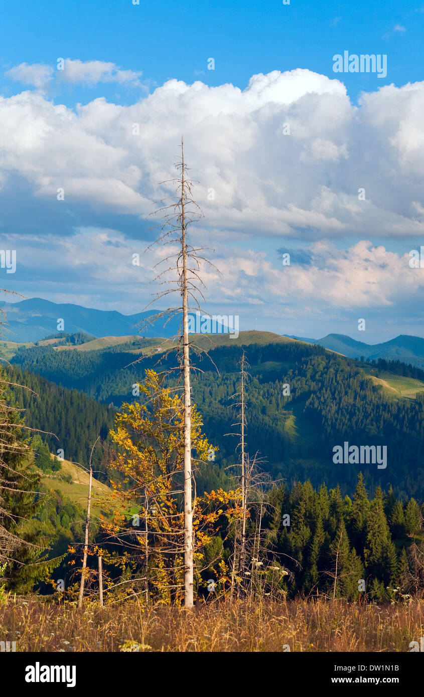 Estate paesaggio di montagna Foto Stock