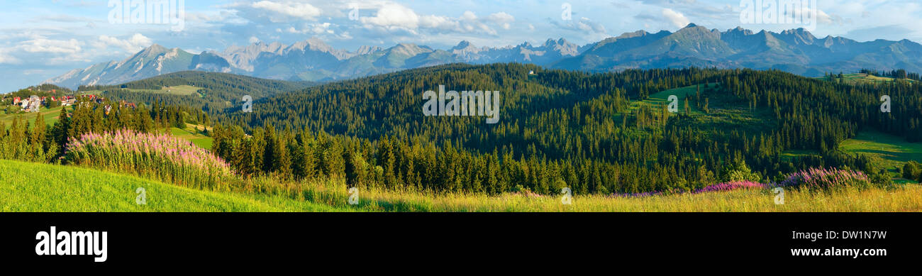 Estate in montagna panorama del paese. Foto Stock