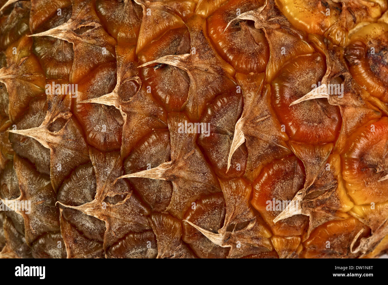 Ananas la texture della pelle Foto Stock