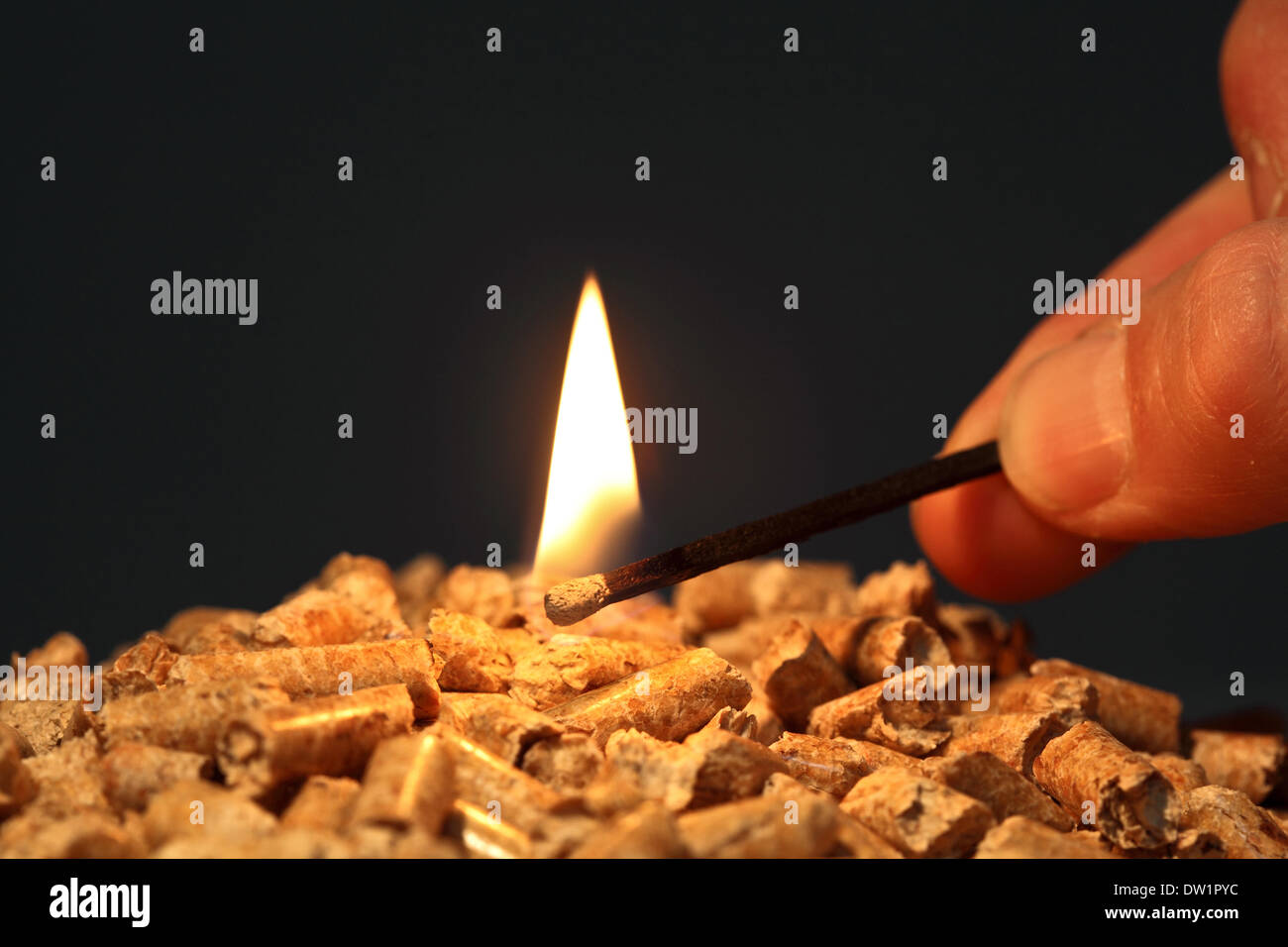 soluzione eco Foto Stock