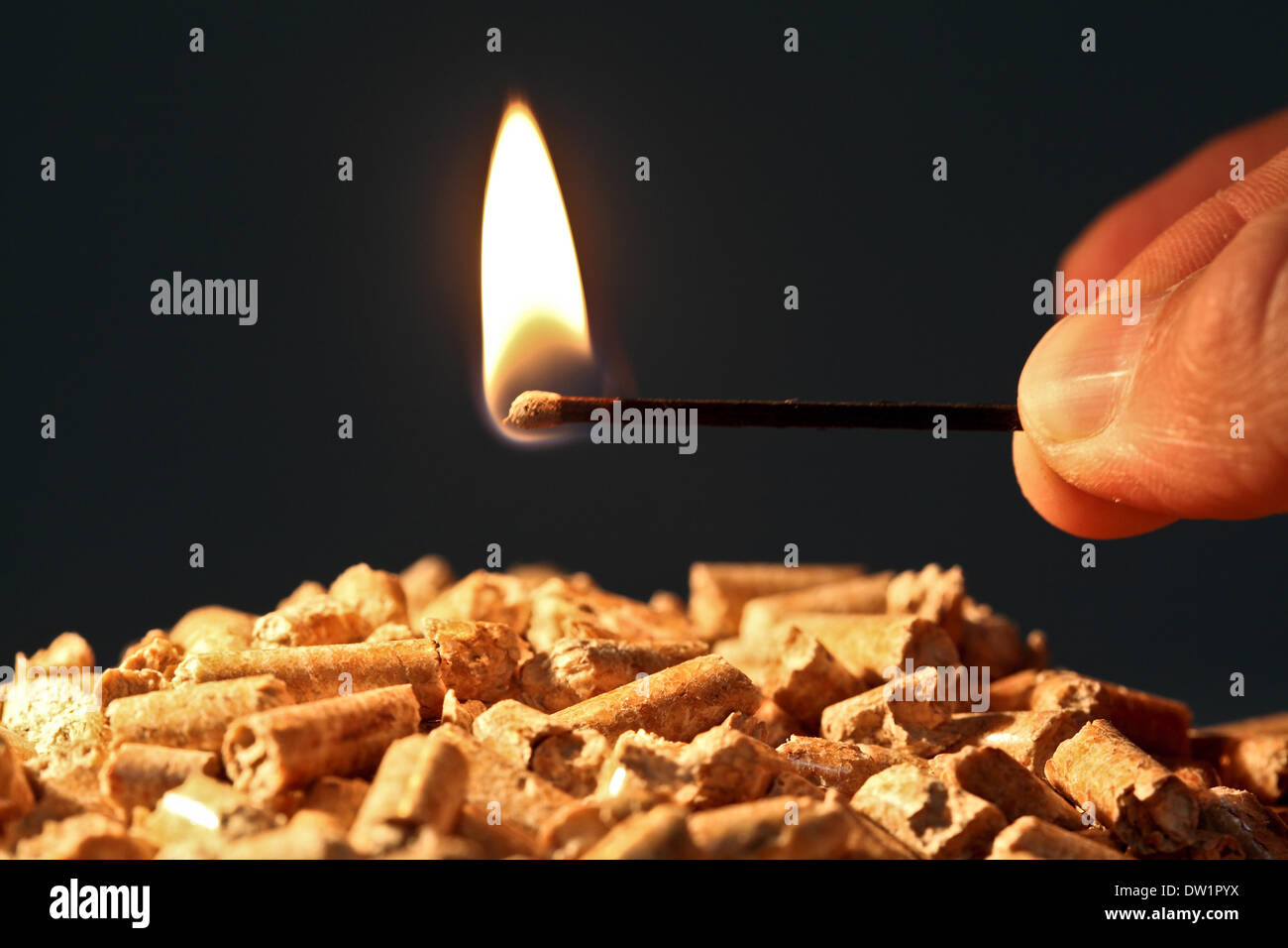 soluzione eco Foto Stock