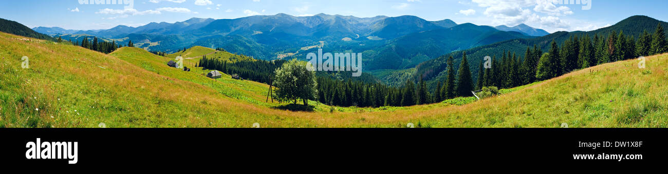 Estate panorama di montagna Foto Stock