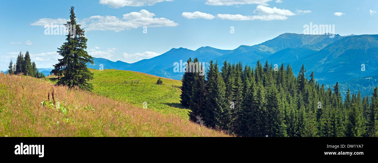 Estate panorama di montagna (Carpazi, Ucraina) Foto Stock