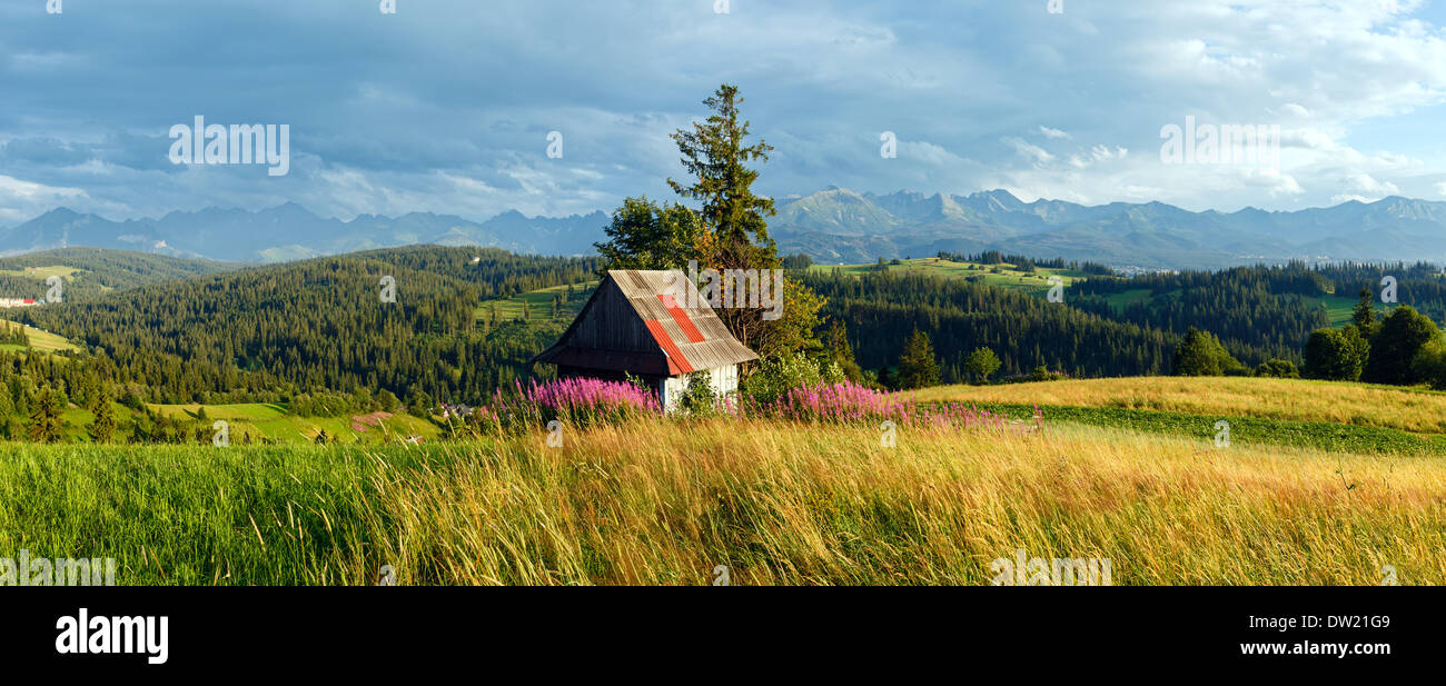 Estate in montagna panorama del paese. Foto Stock