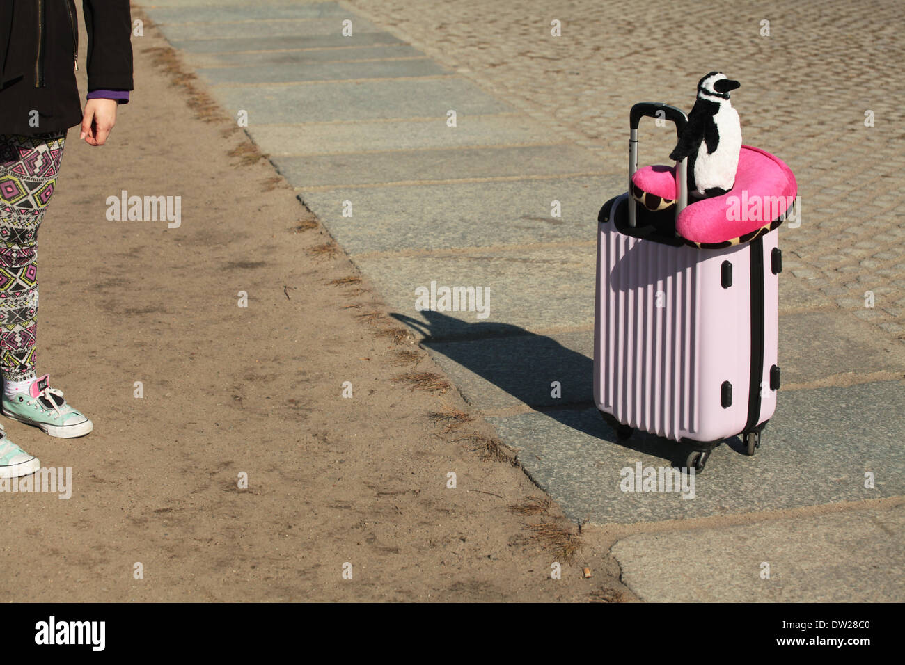 Un turista femminile in piedi con bagagli presso il Palazzo del Reichstag a Berlino, Ottobre 03, 2013. Un numero sempre maggiore di turisti venuti per la capitale tedesca ogni anno. La foto è parte di una serie sul turismo a Berlino. Foto. Wolfram Steinberg dpa Foto Stock