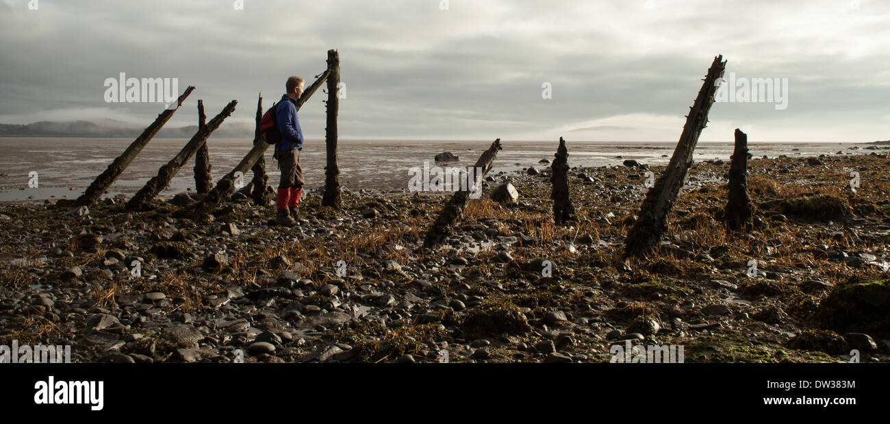 Una nebbiosa mattina atmosferica su Solway Firth costa. Camminando lungo il bordo della baia Auchencairn guardando fuori per misty Hestan Isola Foto Stock