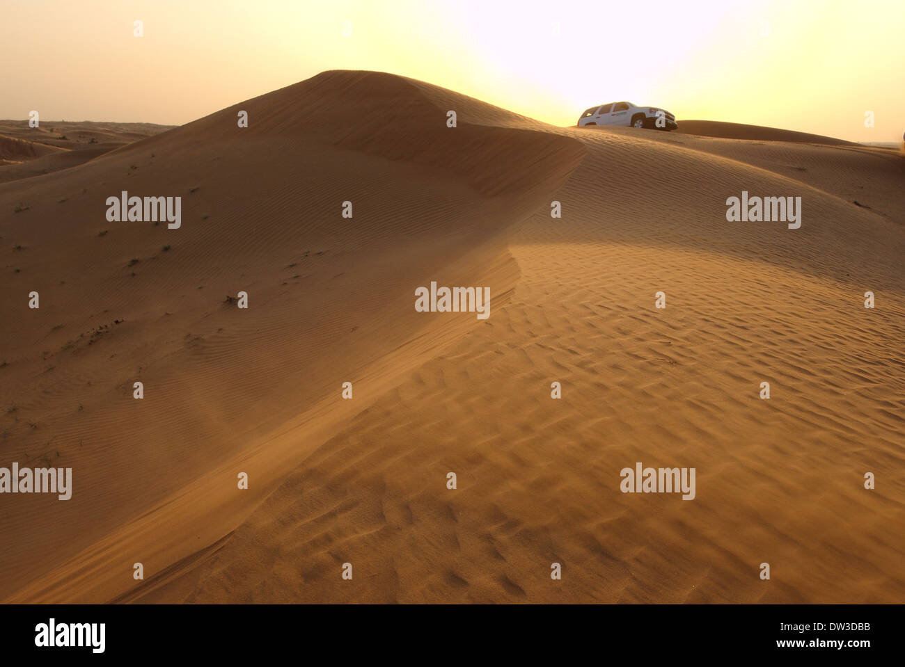 Deserto di Sharjah, Sharjah (emirato), Emirati arabi uniti Foto Stock