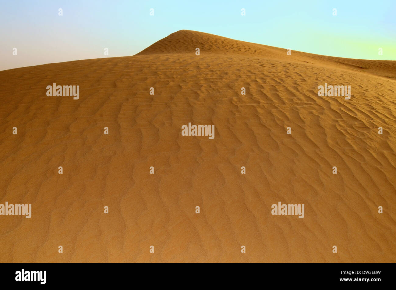 Deserto di Sharjah, Sharjah (emirato), Emirati arabi uniti Foto Stock