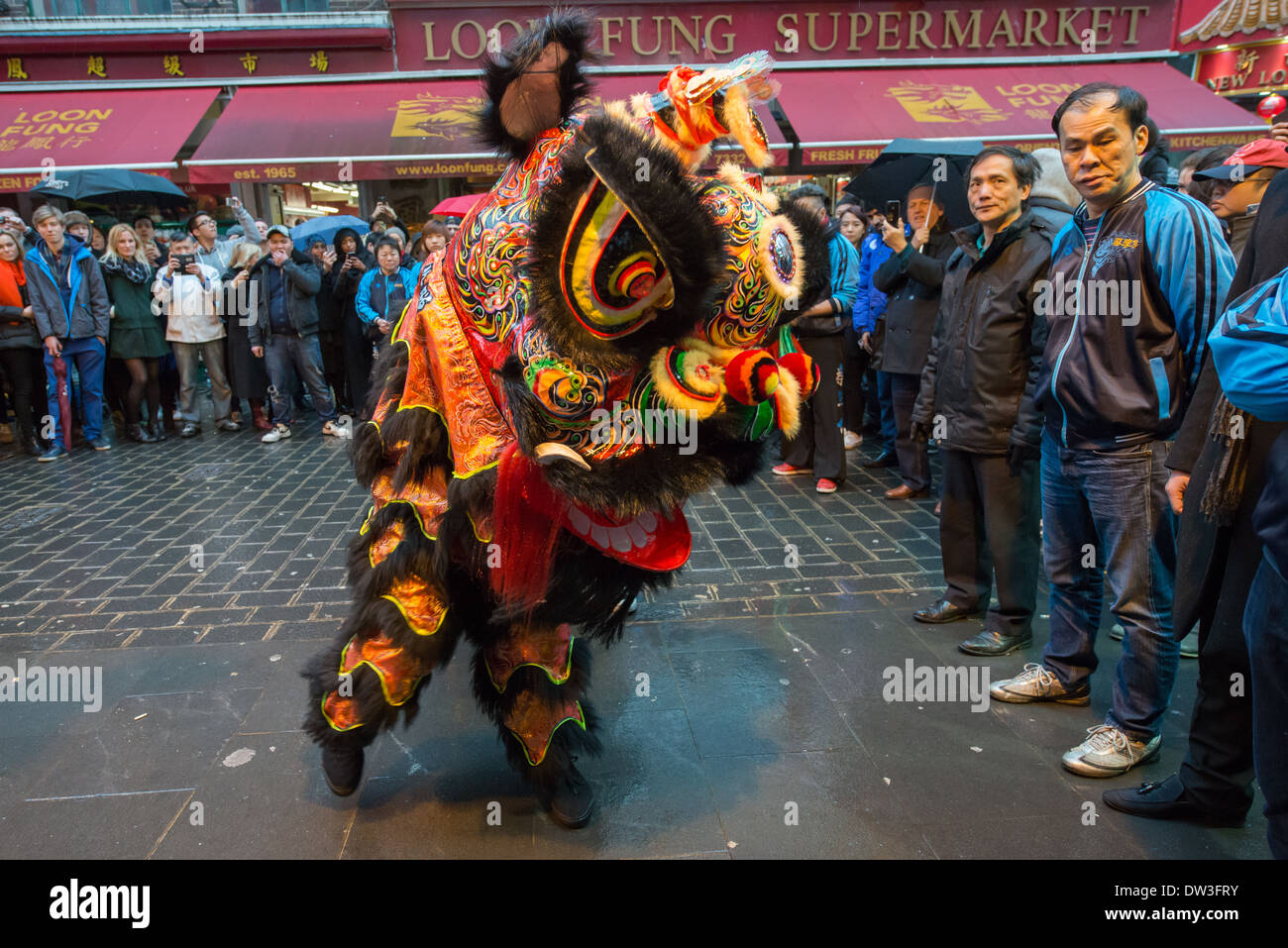 Ballerino Lion dal London Chinatown Associazione Cinese dancing al di fuori del Feng Shui Inn a Capodanno Cinese, Gerrard Street a Londra, Inghilterra Foto Stock