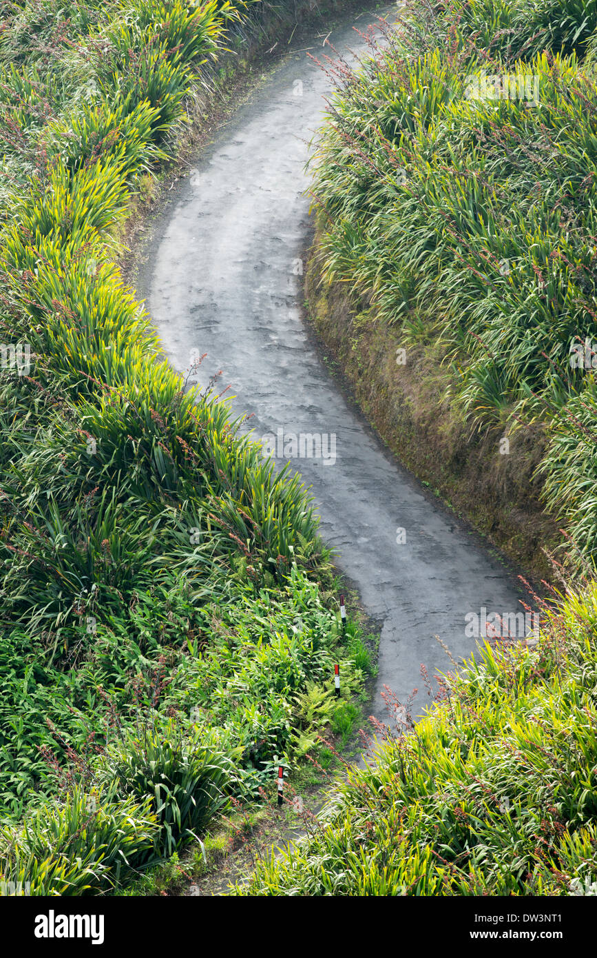 Il lino e la tipica strada sull'isola di St Helena nel sud dell'Oceano Atlantico Sandy Bay area Foto Stock