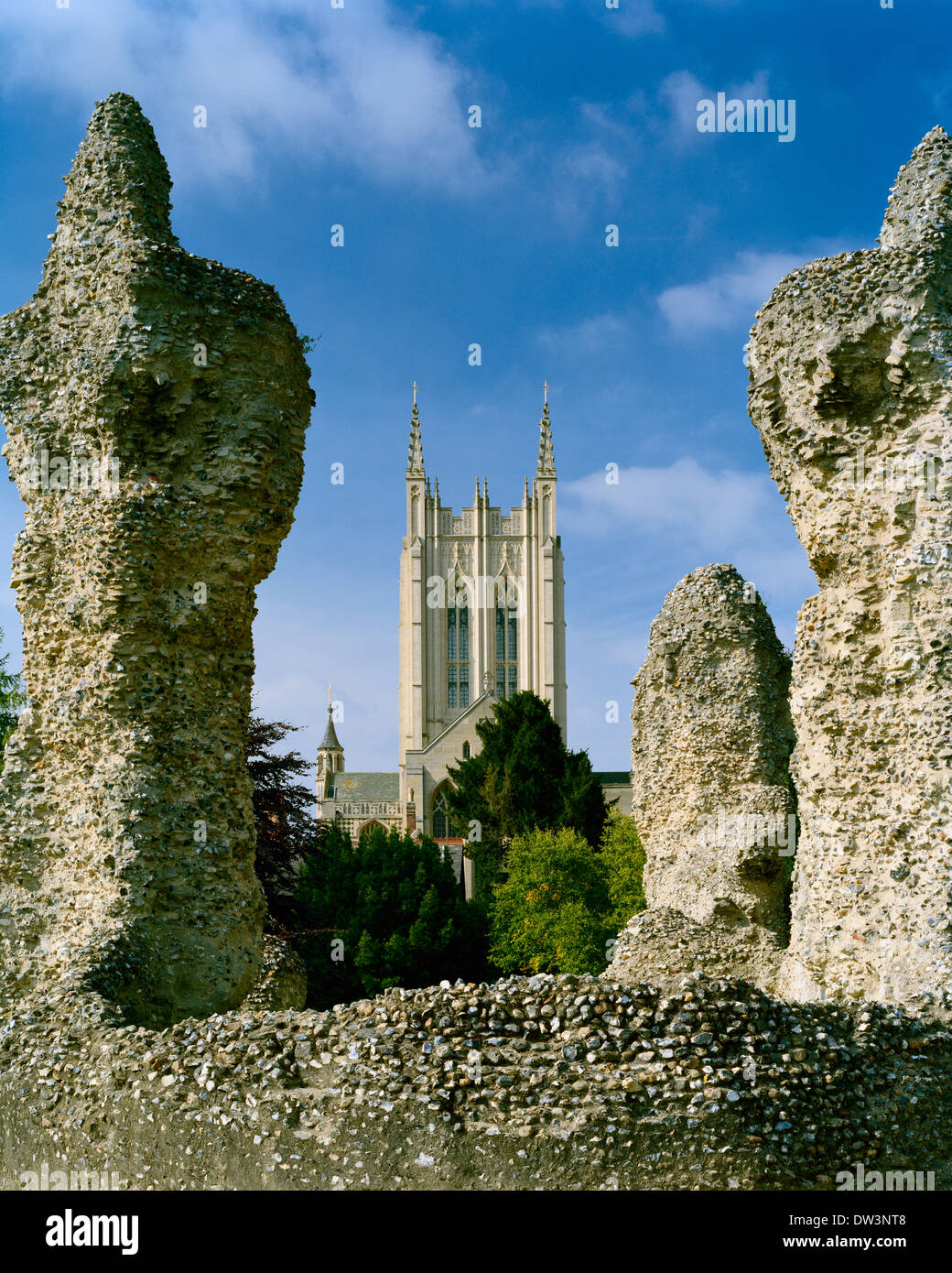 St Edmundsbury Cathedral, Bury St Edmunds Suffolk, incorniciato dalle rovine della vecchia abbazia Foto Stock