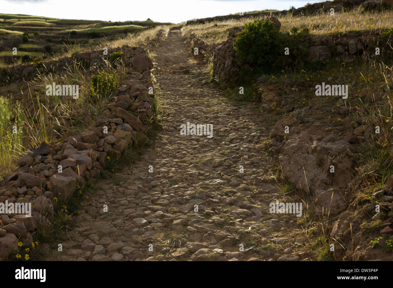 Antico Sentiero che conduce fino alla vetta di Pachatata (Padre terra) picco attraverso campi terrazzati sul Isola Amantani, il lago Titicaca, vicino a Puno, Perù Foto Stock