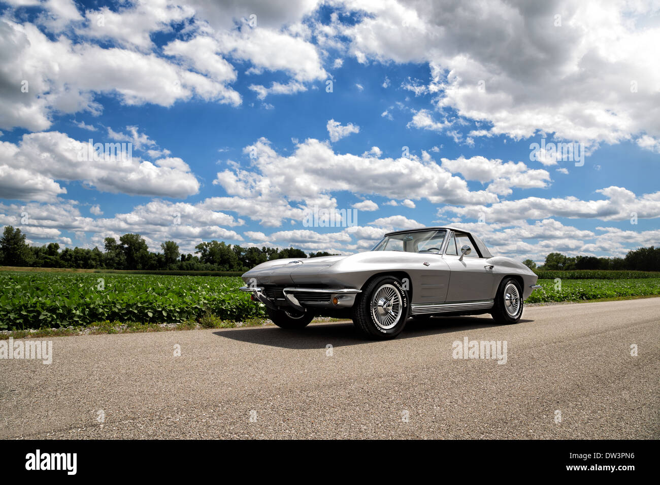 1964 Chevrolet Corvette Stingray Foto Stock