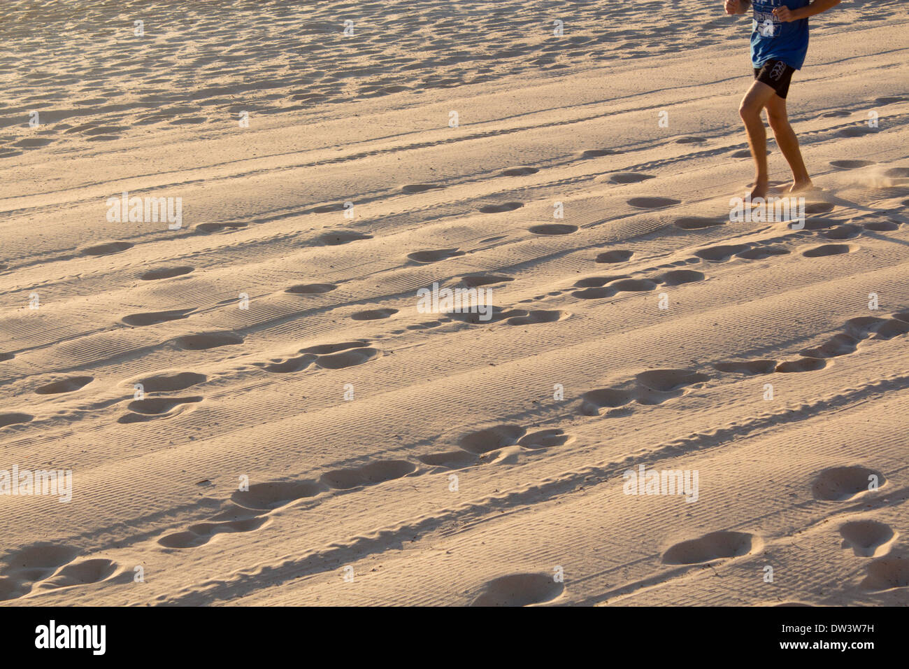 Impronte e tracce di pneumatici in sabbia all'alba con runner nell angolo superiore del telaio del Nord Spiaggia Steyne Manly Sydney NSW Australia Foto Stock