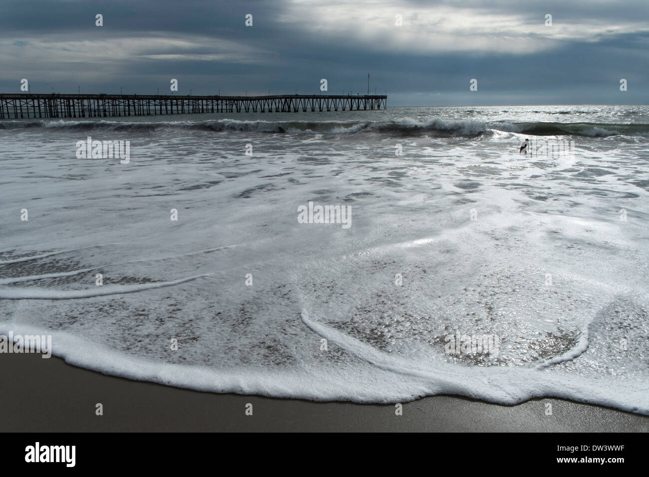 Gli Stati Uniti, California, Ventura, nuotatore in surf Foto Stock