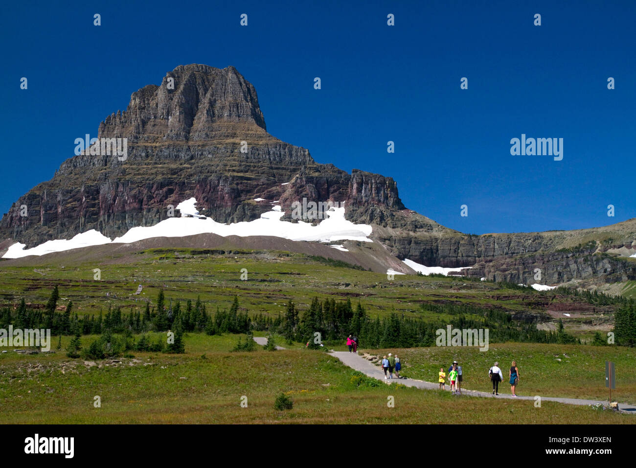 La Reynolds montagna a Logan pass si trova lungo il Continental Divide nel Parco Nazionale di Glacier, Montana, USA. Foto Stock