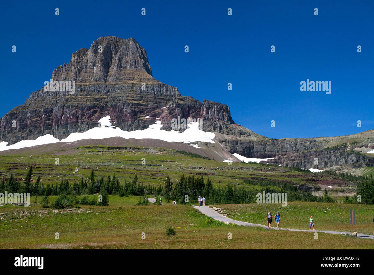 La Reynolds montagna a Logan pass si trova lungo il Continental Divide nel Parco Nazionale di Glacier, Montana, USA. Foto Stock