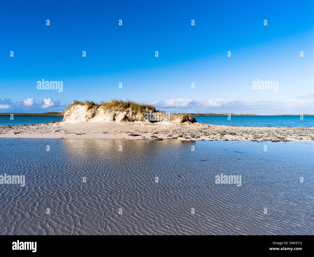 dh Cata Sand SANDAY ORKNEY dune di sabbia erba di marram duna mare scozia acqua Foto Stock