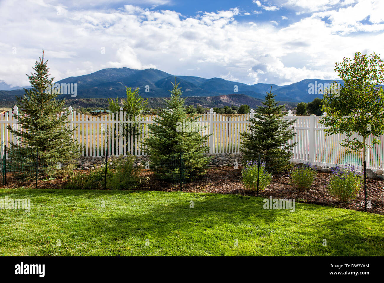 Vista del cortile della pioggia di estate, giardino & recinzioni. Foto Stock