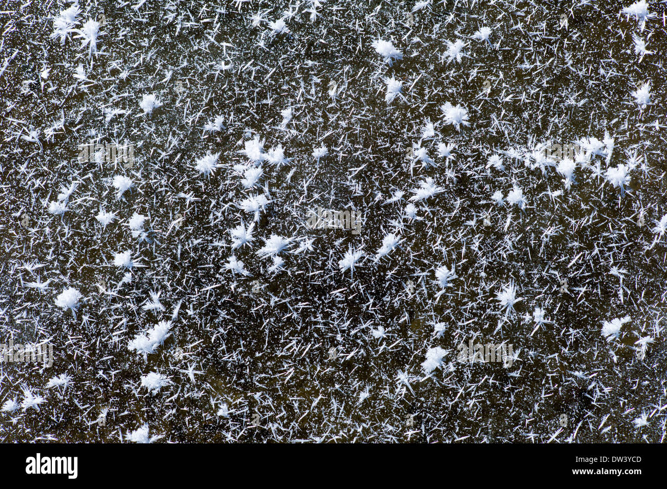 Close-up di ghiaccio sul fiume Arkansas che corre attraverso il quartiere del centro storico della cittadina di salida, Colorado US Foto Stock