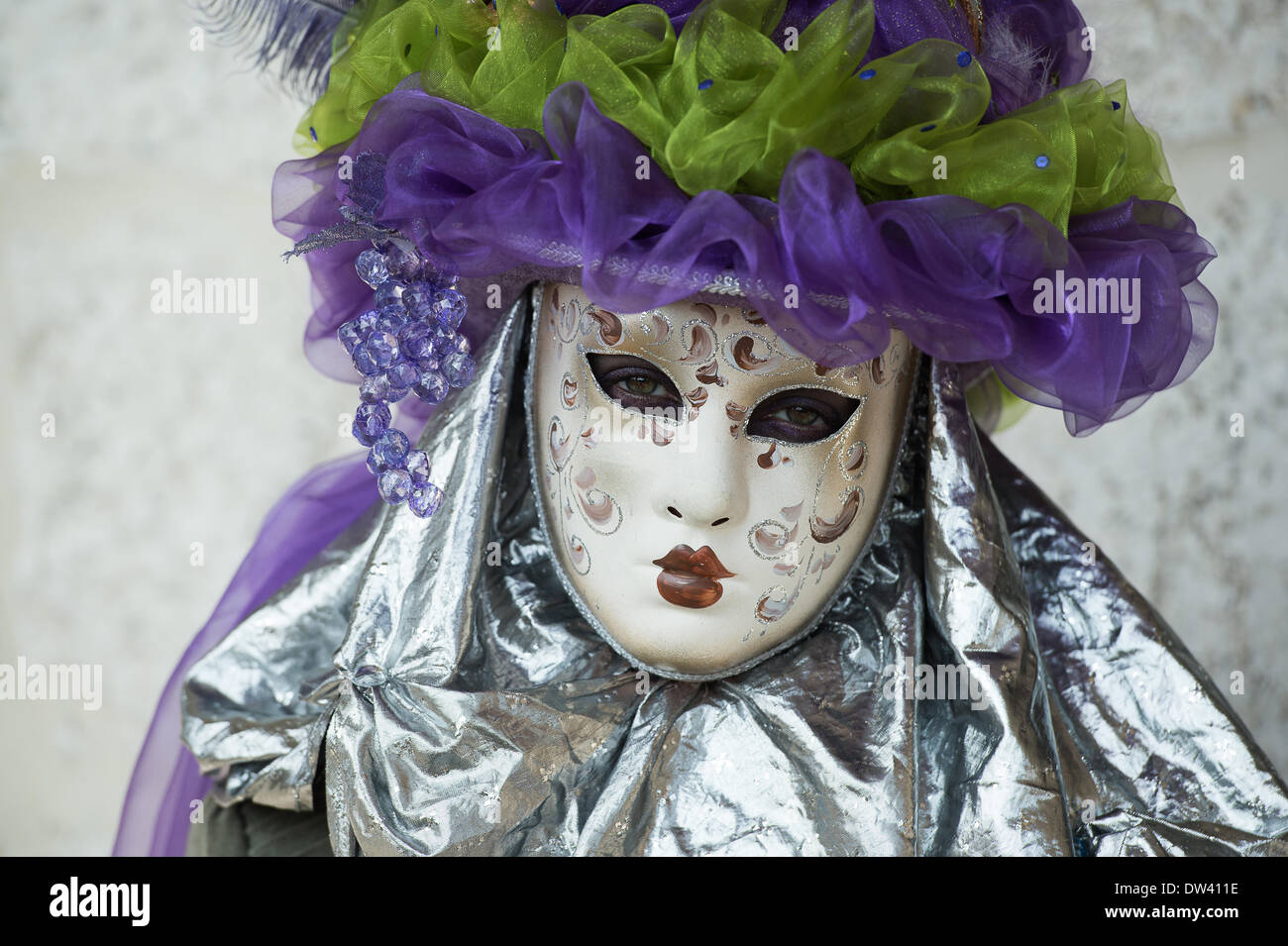 Venezia, Italia. Il 26 febbraio 2014. Ritratto di una mascherata profumiere a Venezia Carnivale - Mercoledì 26 Febbraio. Credito: MeonStock/Alamy Live News Foto Stock