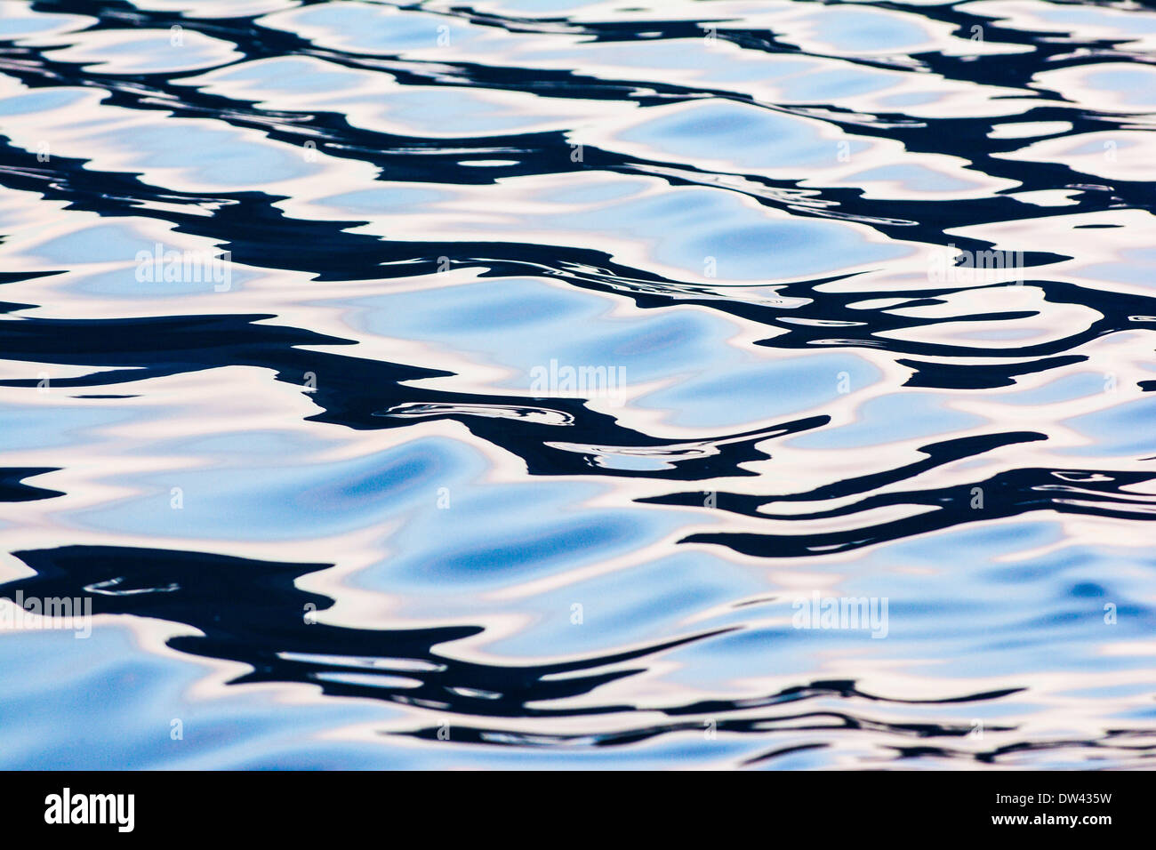 Si rigonfia in acqua calma, Alaska Foto Stock