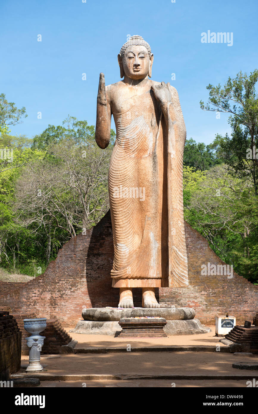 L'elegante Maligawila statua del Buddha. Esso è considerato il più alto antica immagine autoportante in Sri Lanka. Foto Stock