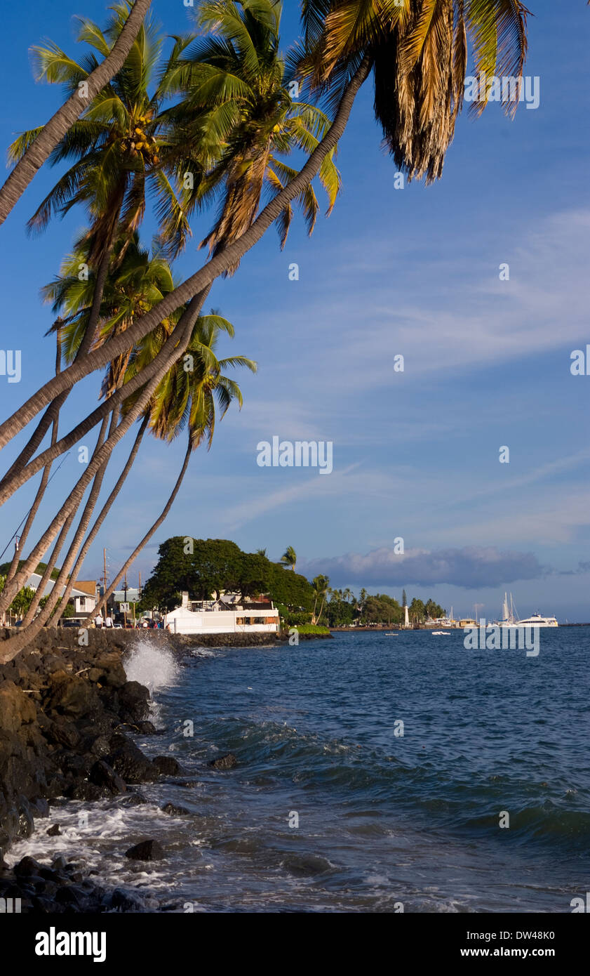 Bella piegate palme acqua oltre oceano nella famosa cittadina di Lahaina Maui Hawaii Foto Stock