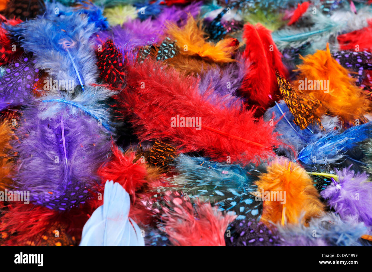 Primo piano di una pila di piume di diversi colori Foto Stock