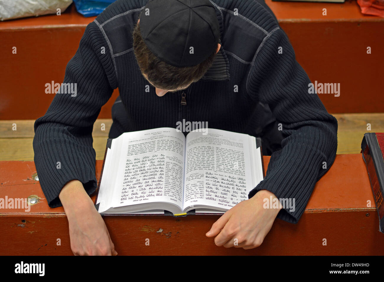 Lubavitch studente assidico che studia il libro di Esodo presso la sede di Chabad e la sinagoga al 770 Eastern Parkway a Brooklyn, New York. Foto Stock