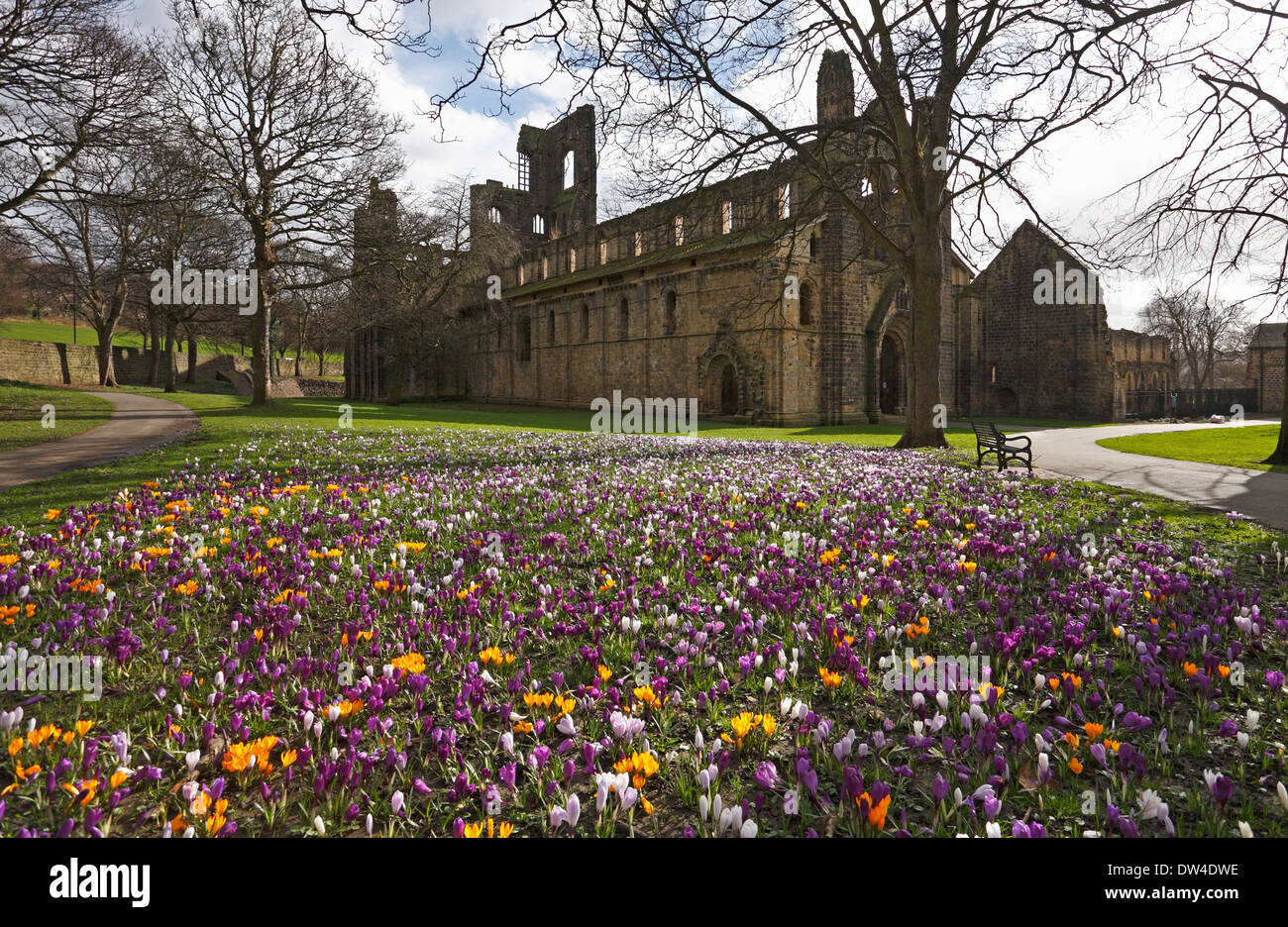 Crochi nella motivazione della Abbazia di Kirkstall, Leeds, West Yorkshire, Inghilterra, Regno Unito. Foto Stock