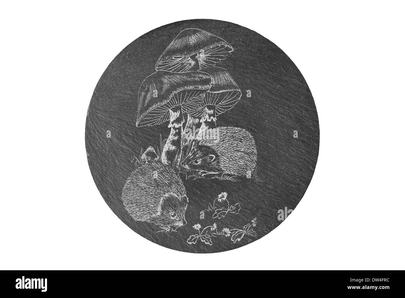 Teiera ardesia Stand con riccio e funghi decorazione Foto Stock