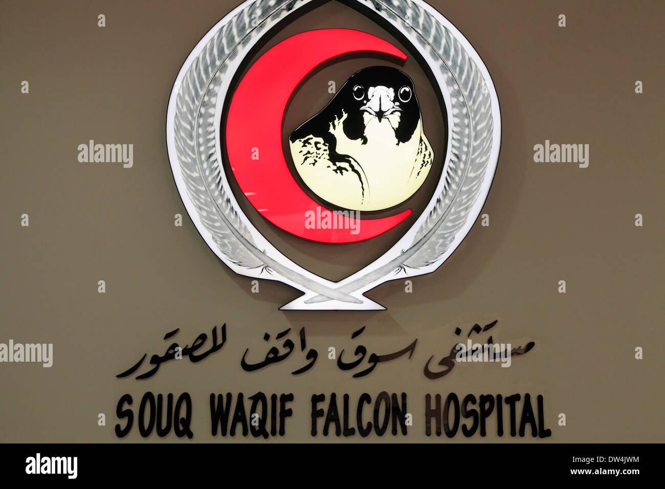 Il Qatar Doha, Souq Waqif, Falcon Hospital, segno, Foto Stock