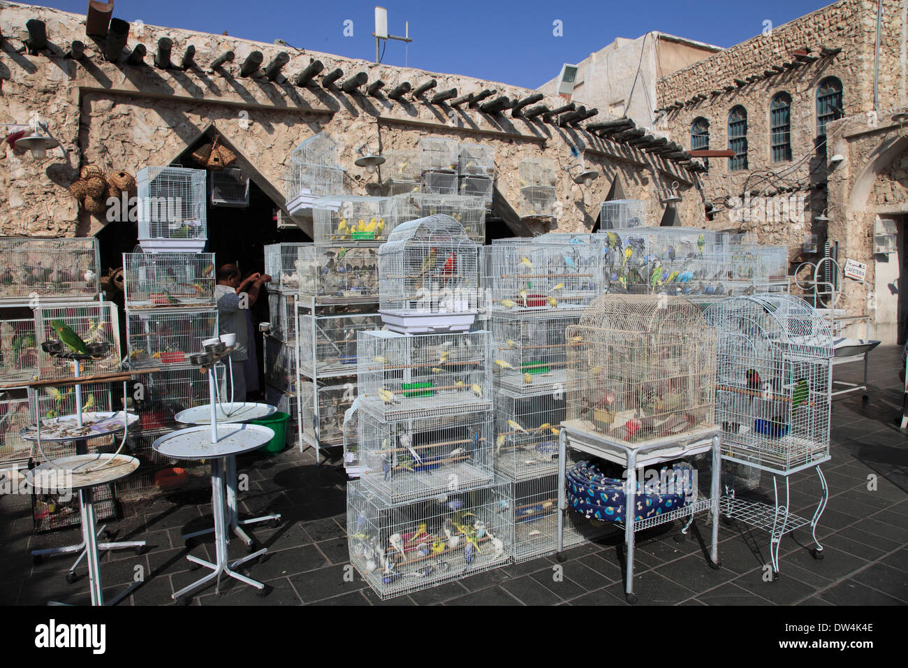 Il Qatar Doha, Souq Waqif, il mercato degli uccelli, Foto Stock