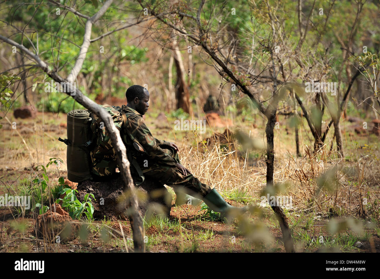 Soldati ugandesi dell'Uganda la difesa del popolo forza (UPDF) patrol tramite la centrale di giungla africana durante un'operazione per cacciare famigerato Esercito di Resistenza del Signore (LRA) leader Joseph Kony. L LRA è un cristiano militante del gruppo ribelle. Foto Stock