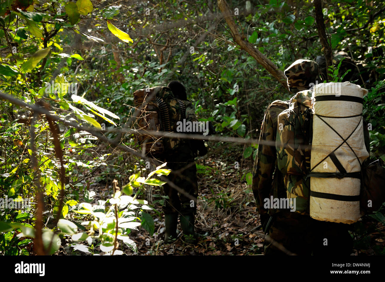 Soldati ugandesi dell'Uganda la difesa del popolo forza (UPDF) patrol tramite la centrale di giungla africana durante un'operazione per cacciare famigerato Esercito di Resistenza del Signore (LRA) leader Joseph Kony. L LRA è un cristiano militante del gruppo ribelle. Foto Stock