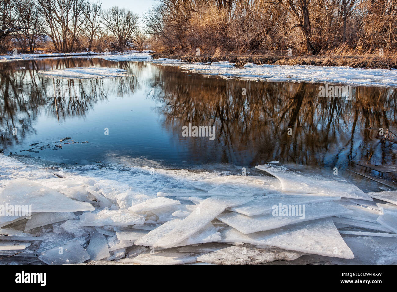 La Cache Poudre River in Fort Collins, Colorado, inverno o all'inizio uno scenario primaverile con gelido rive Foto Stock